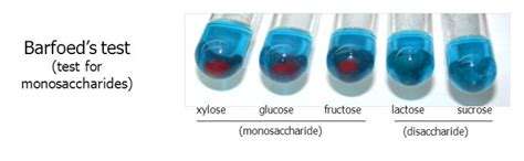 principle of barfoed test|Barfoed’s Test: Objective, Principle, Reagents, .